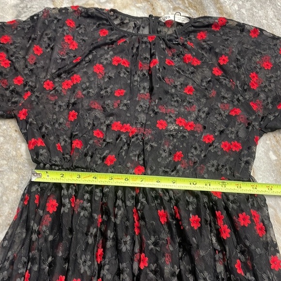 NEW Zara Oversized Floral Embroidered Sheer Dress Black Red Bloggers Favorite - Picture 11 of 13